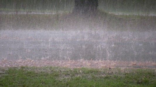 【画像あり】福岡県民だが大雨でワイのイッヌがやばい