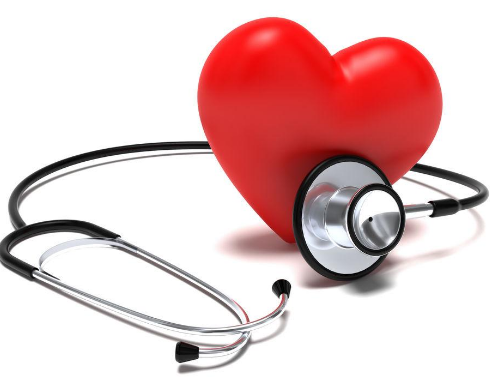 心臓とかいう一番大事な器官が２つじゃなく１つしか理由ｗｗｗｗｗｗｗｗｗｗｗｗｗｗ