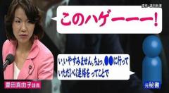 2017年流行語大賞「このﾊｹﾞーーｯ！」落選 選考委員への忖度?