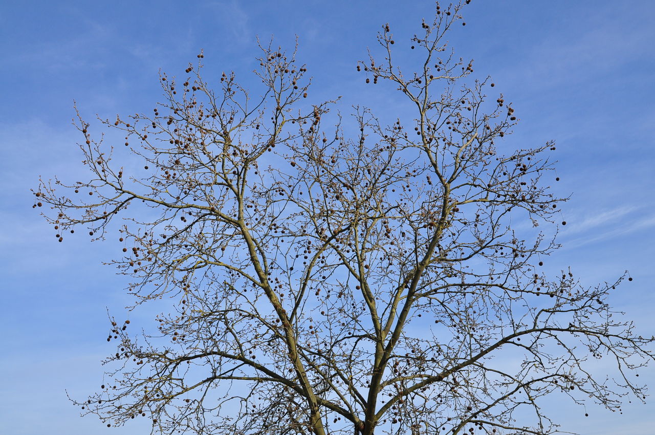 イタリア旅行記 14 フィレンツェ編 ガチだから 私 Tales Of Little Fishes