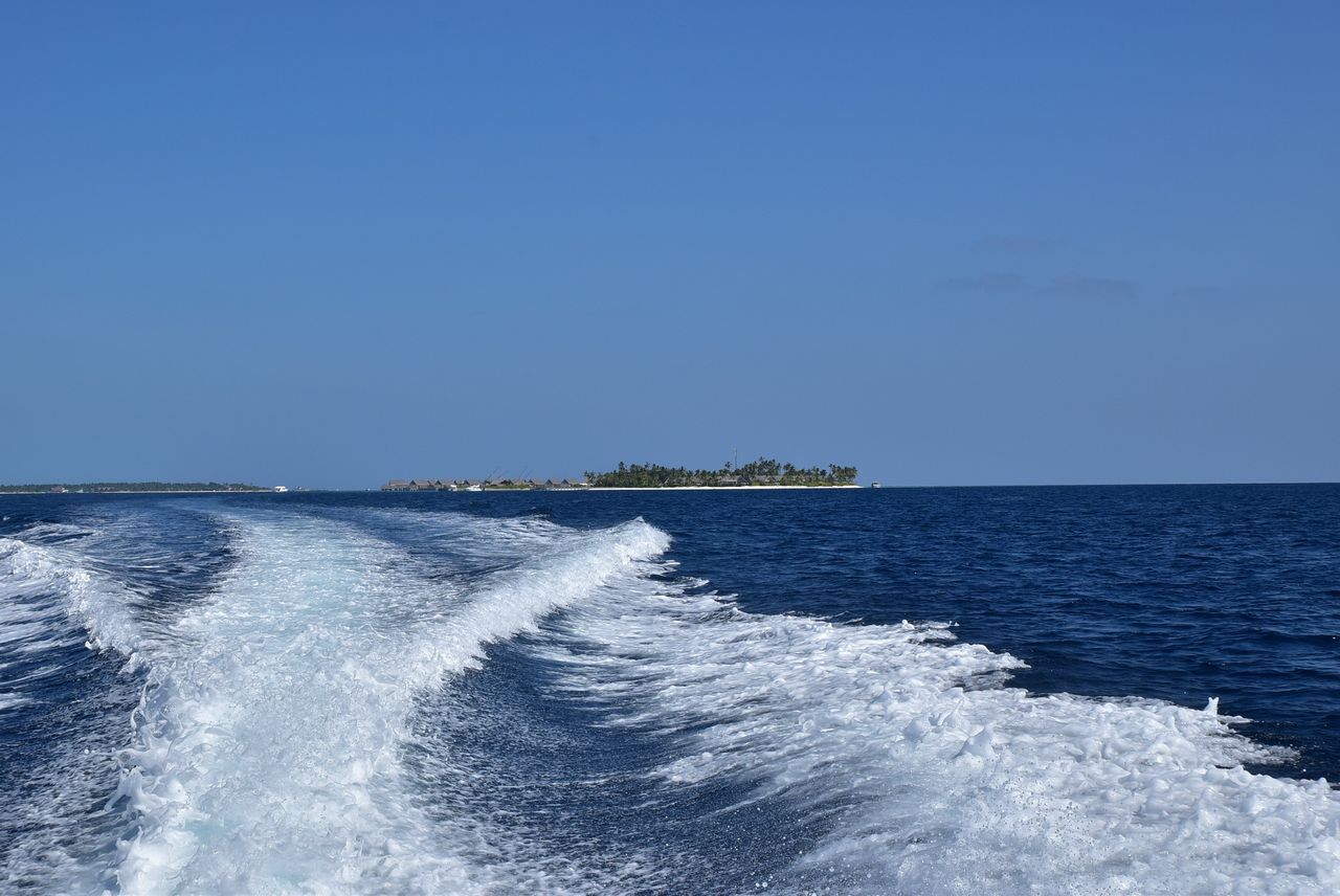 ミライドゥ Milaidhoo 旅行記 19 さよなら ミライドゥ ガチだから 私 Tales Of Little Fishes ミライドゥ Milaidhoo 旅行記 19 さよなら ミライドゥ ガチだから 私 Tales Of Little Fishes