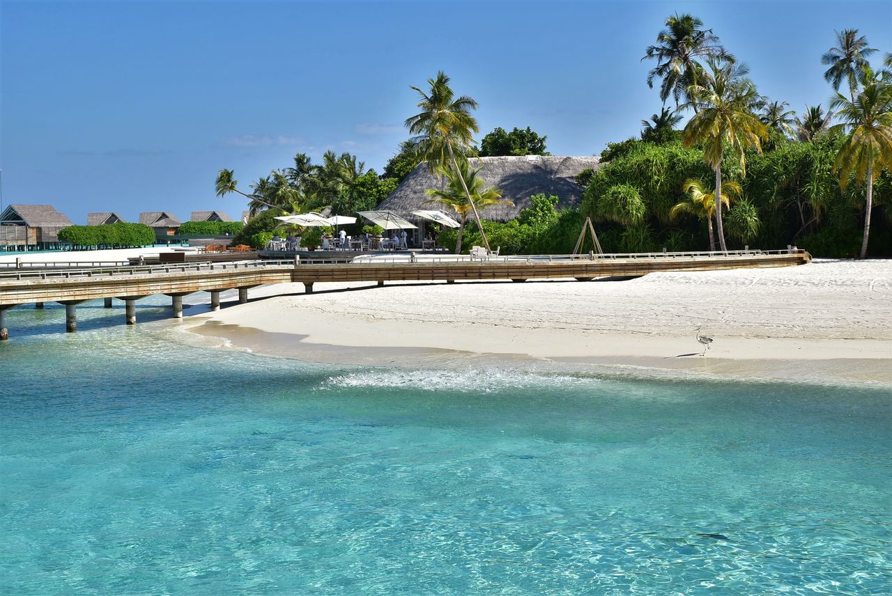 ミライドゥ Milaidhoo 旅行記 19 さよなら ミライドゥ ガチだから 私 Tales Of Little Fishes ミライドゥ Milaidhoo 旅行記 19 さよなら ミライドゥ ガチだから 私 Tales Of Little Fishes