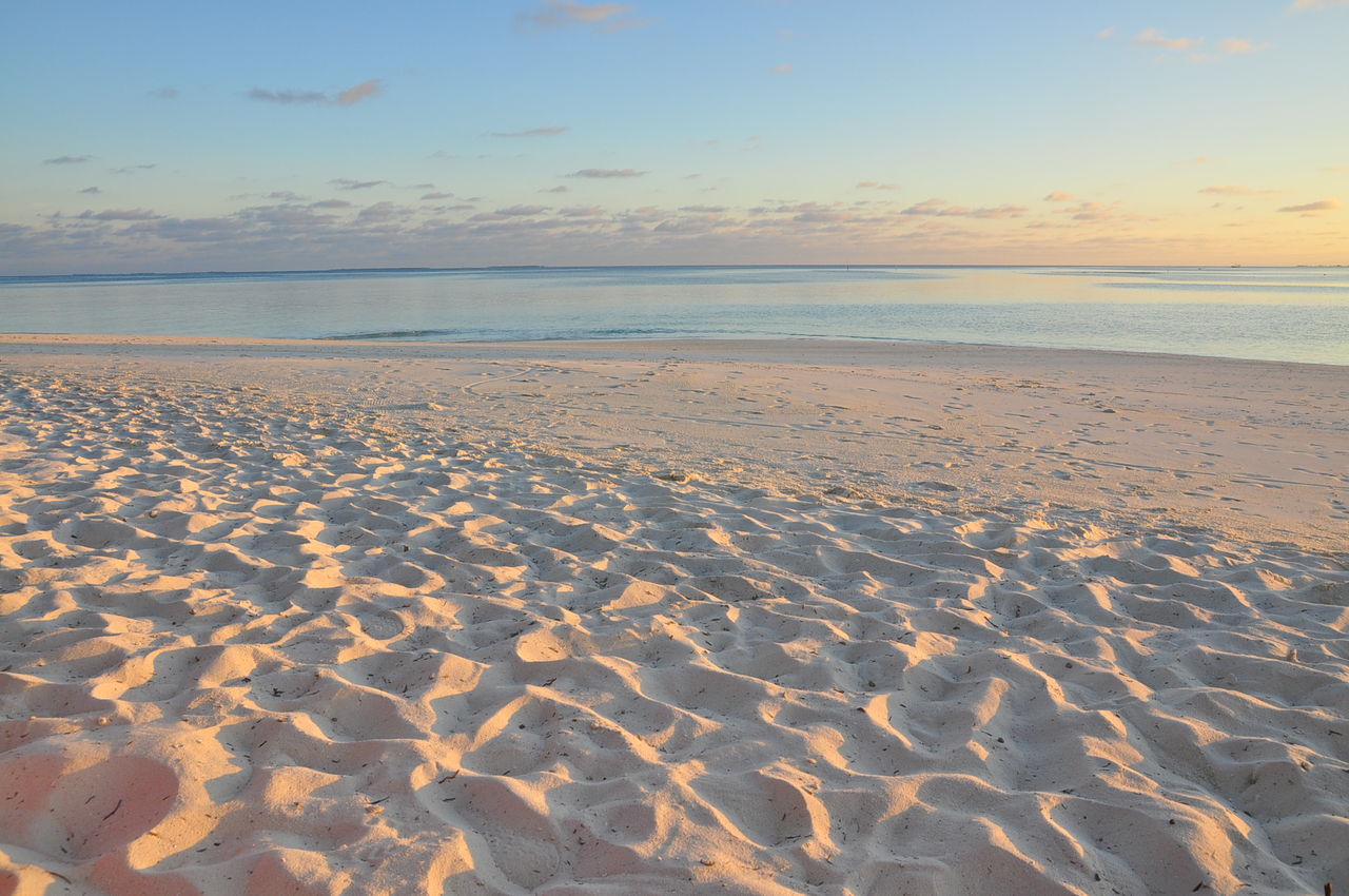 ガチだから 私 Tales Of Little Fishes Maldives 15 ガチだから 私 Tales Of Little Fishes Maldives 15