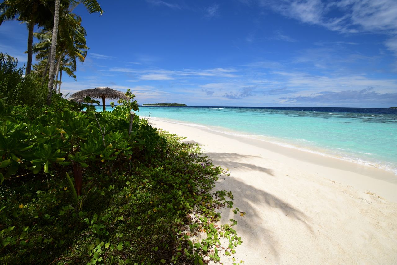 ミライドゥ Milaidhoo 旅行記 18 癒しの景色とスパ ガチだから 私 Tales Of Little Fishes ミライドゥ Milaidhoo 旅行記 18 癒しの景色とスパ ガチだから 私 Tales Of Little Fishes