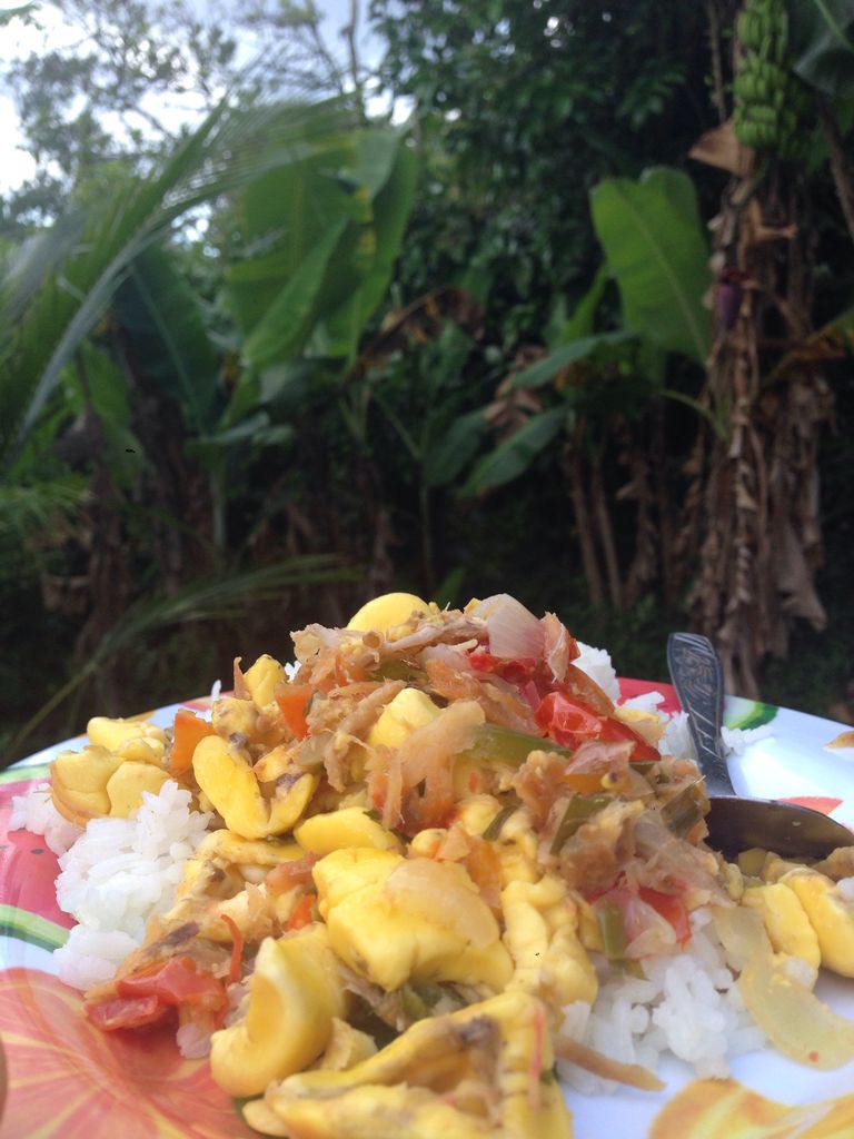 アキーの実 Kings Yawd Jamaican Food Reggae Muzic
