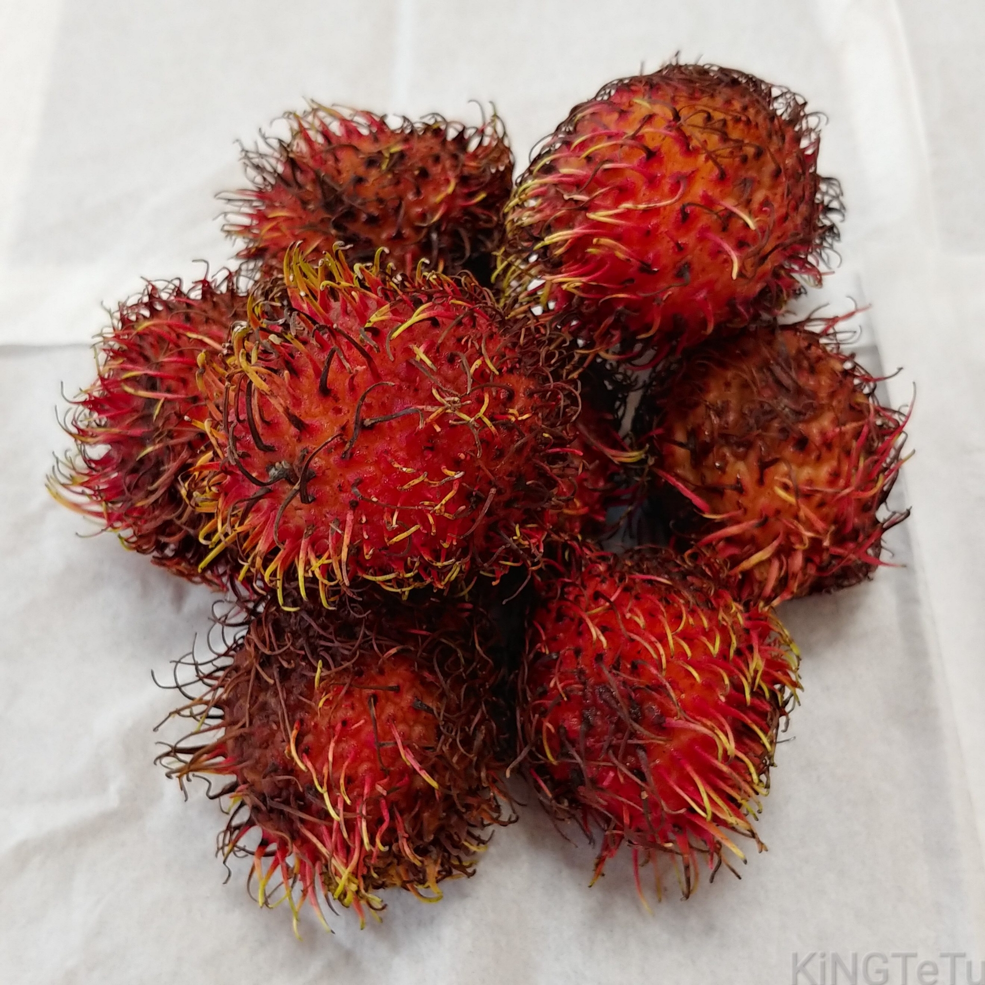 ランブータンの種について 盆栽な感じで 的な