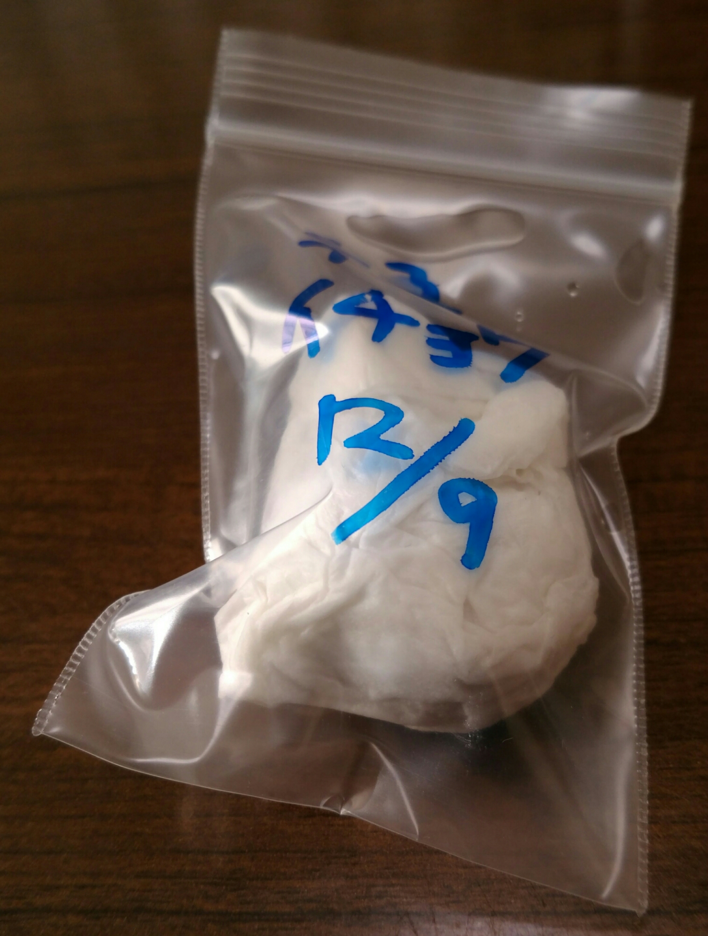 イチョウの雄雌について 盆栽な感じで 的な