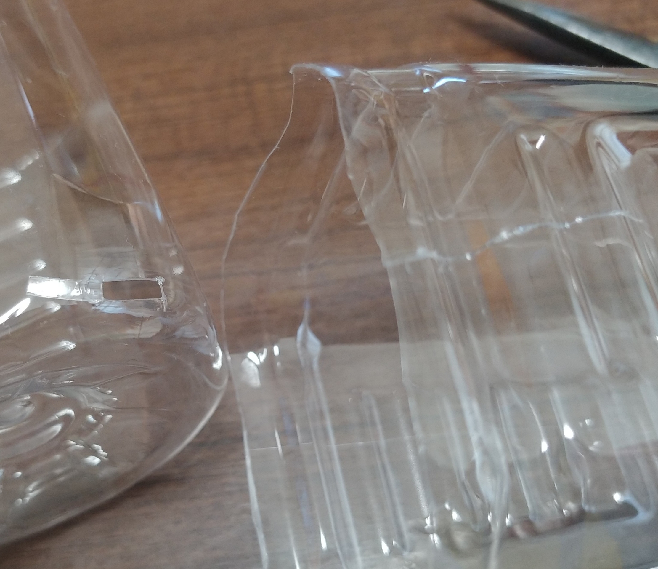 梅の挿し木にチャレンジ 盆栽な感じで 的な 梅の挿し木にチャレンジ 盆栽な感じで 的な
