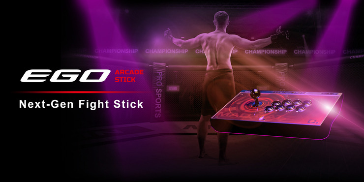 EGO Arcade FightStick