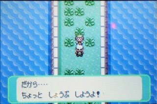 気になったまとめ ポケモンルビーサファイアで旅パにいれるポケモン なんj民の9割が一致
