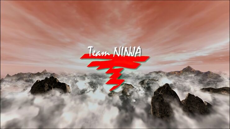 TeamNINJA