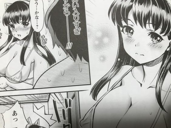 【画像】強●快楽でトロケ堕ちた可愛い顔を晒しまくる少女達の超絶アクメ痴態『完堕ち寝取りックス』のトップ画像