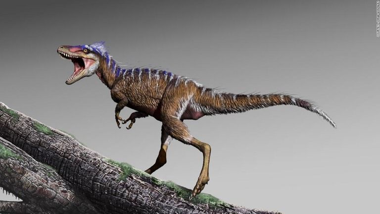 恐竜 ティラノサウルス進化の過程に光 これが初期の姿 エンターテイナーズ