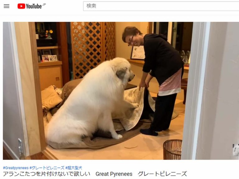 爆笑 犬の笑える画像 について画像をまとめてみた 気になる芸能ニュース速報 爆笑 犬の笑える画像 について画像をまとめてみた 気になる芸能ニュース速報