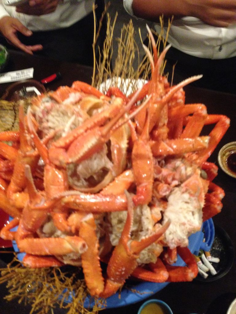 驚愕 カニバケツ 気になることを気ままにやってるブログ 驚愕 カニバケツ 気になることを気ままにやってるブログ