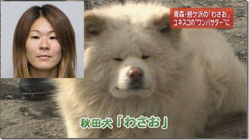 秋田犬 わさお の飼い主 菊谷節子さん死去 気になる今日のまとめ