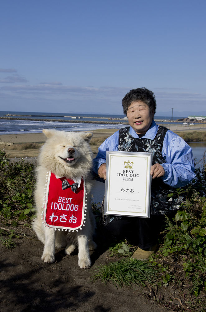 秋田犬 わさお の飼い主 菊谷節子さん死去 気になる今日のまとめ
