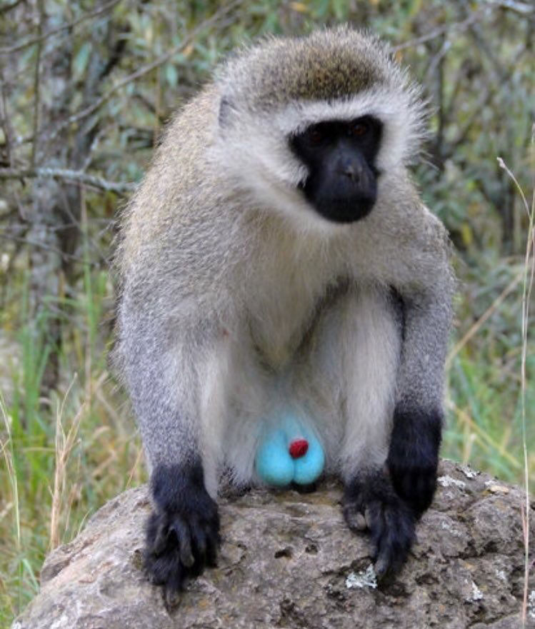 悲報 藤田ニコルことニコルんのネイル チンコだった 気になるまとめ速報