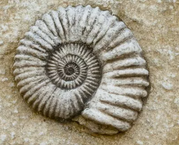 スクリーンショット 2026-04-16 120313