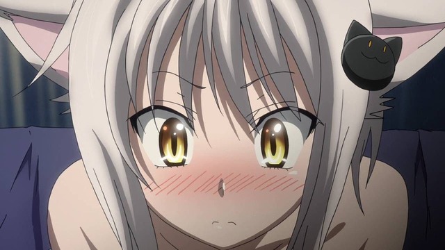 こねこ