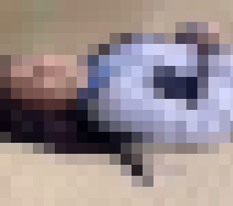 スクリーンショット 2026-04-02 153142