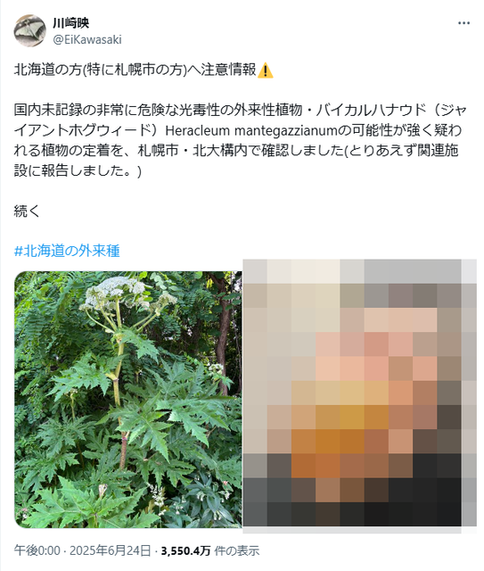 名称未設定