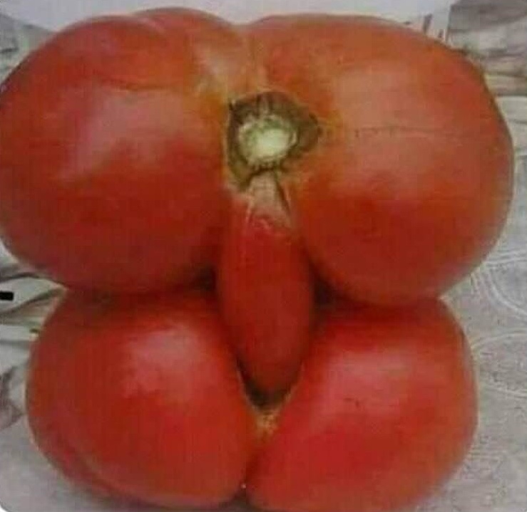   sarer 48796 YouTube>1{ ->摜>16 