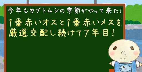 saya