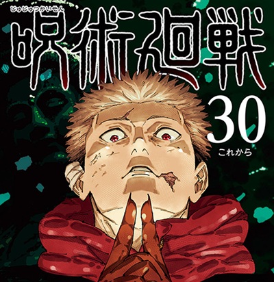 jujutsu030