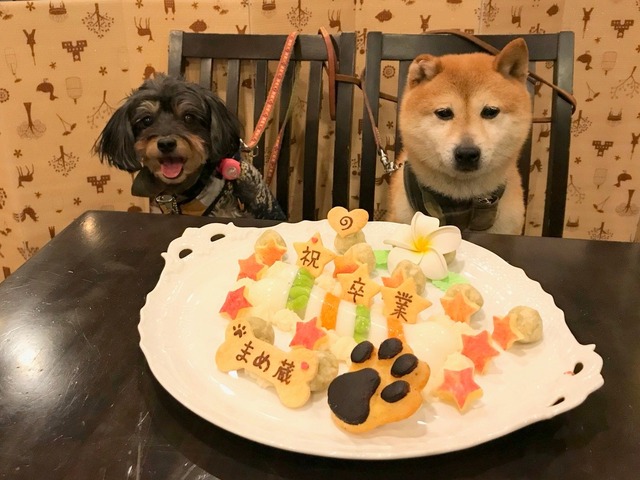 o1478110814132704672