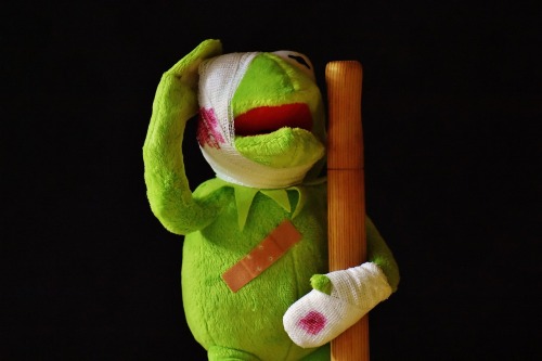 kermit-g472bb53b3_1280