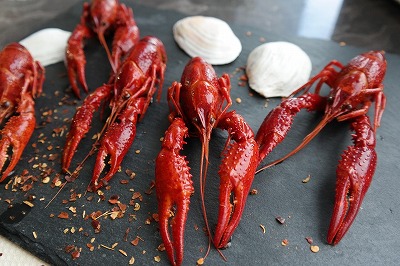 boiled-crayfish-4028127_1280