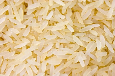 rice-1858_640