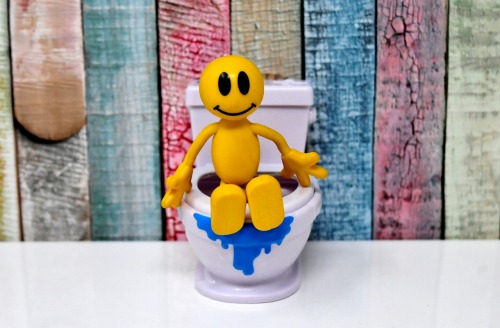 toilet-3298184_1280-s
