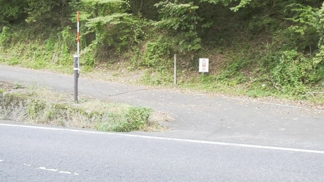 img_0c51fb12ea39e46ccec5db685d71