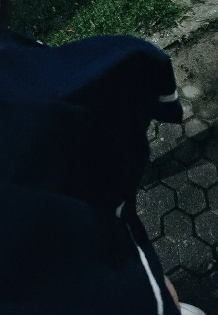 no title