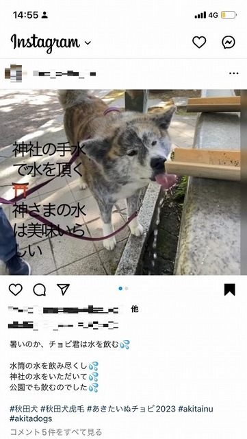 bStKlte