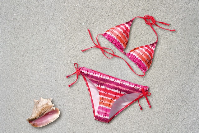 bikini-ged80e2335_640