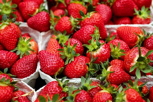 s-strawberries-gc90886582_1280