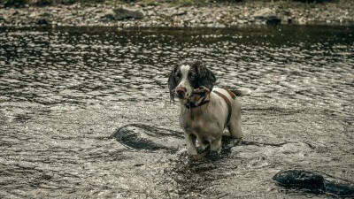 s-focal-insight-photography-vk2-iNnwK-I-unsplash