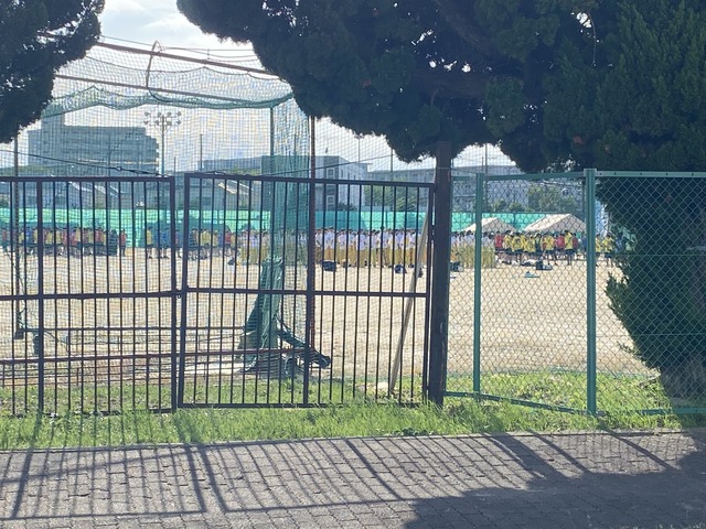 6onvV1c3