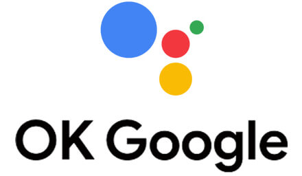 icon_ok-google