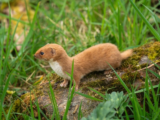 79e76c805133de823096f7fd2ef6d425