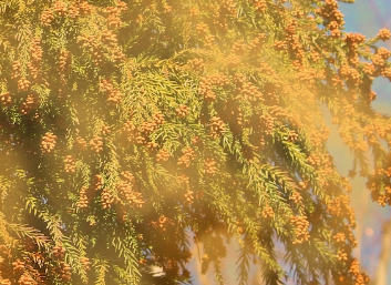 スクリーンショット 2026-03-06 131558