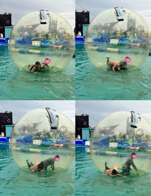 スクリーンショット 2024-11-07 124725