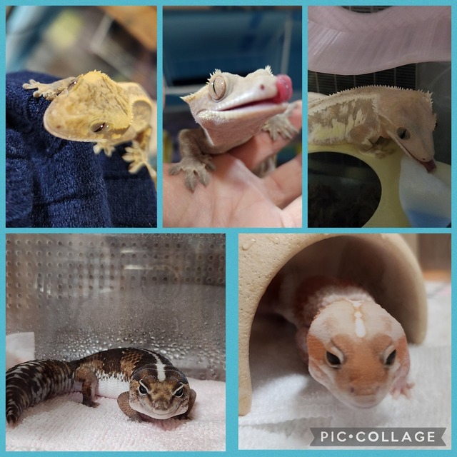 HCZpV-zagAAof-0.jpgorig