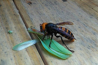 o0860057315020824037