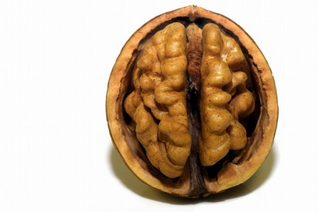 walnut-gaa769111a_640