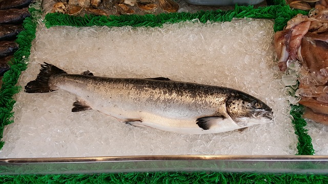 salmon-g0d705e884_640