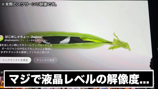 家の中に1億円で映画館を作りました。 25-50 screenshot